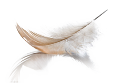 Librairie Ésotérique